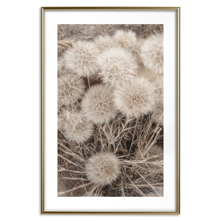 Poster Gentle Cluster - composition with fluffy dandelions in sepia tone 137276 additionalImage 9