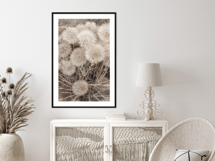 Poster Gentle Cluster - composition with fluffy dandelions in sepia tone 137276 additionalImage 16