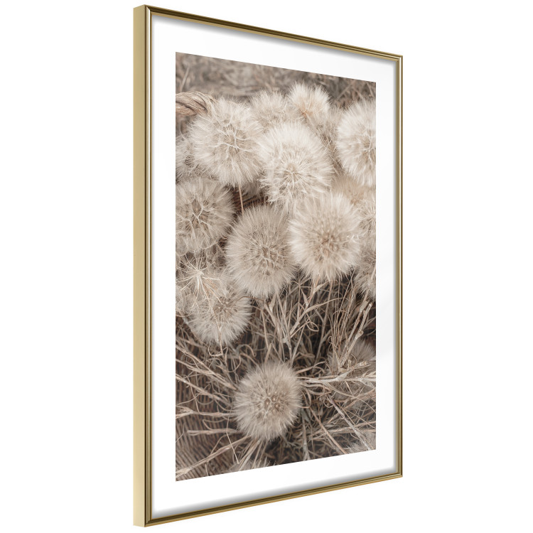 Poster Gentle Cluster - composition with fluffy dandelions in sepia tone 137276 additionalImage 3