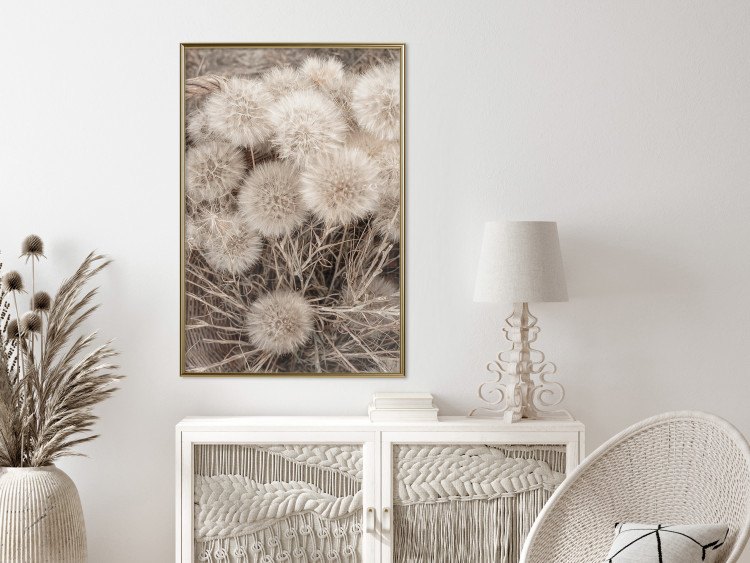 Poster Gentle Cluster - composition with fluffy dandelions in sepia tone 137276 additionalImage 17