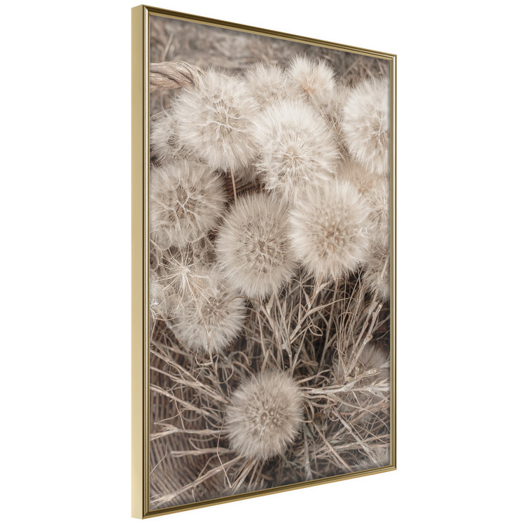 Poster Gentle Cluster - composition with fluffy dandelions in sepia tone 137276 additionalImage 4