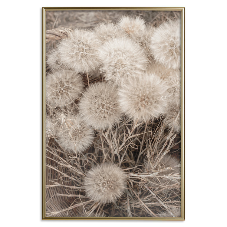 Poster Gentle Cluster - composition with fluffy dandelions in sepia tone 137276 additionalImage 11