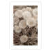 Poster Gentle Cluster - composition with fluffy dandelions in sepia tone 137276 additionalThumb 12