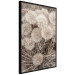 Poster Gentle Cluster - composition with fluffy dandelions in sepia tone 137276 additionalThumb 6
