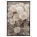 Poster Gentle Cluster - composition with fluffy dandelions in sepia tone 137276 additionalThumb 13