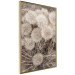 Poster Gentle Cluster - composition with fluffy dandelions in sepia tone 137276 additionalThumb 4