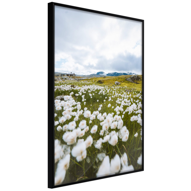 Wall Poster Meadow in the North - landscape of a meadow with white flowers against a mountain backdrop 138776 additionalImage 6