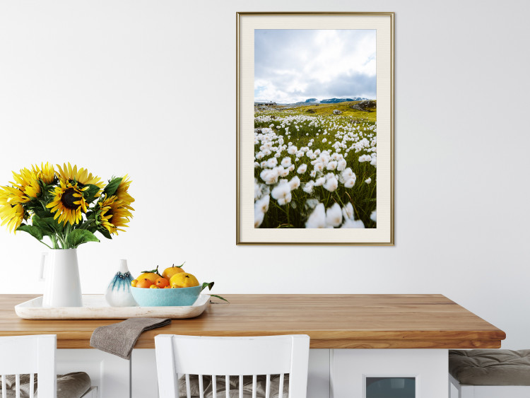 Wall Poster Meadow in the North - landscape of a meadow with white flowers against a mountain backdrop 138776 additionalImage 18