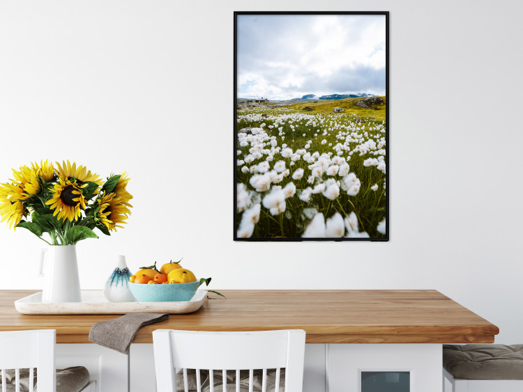 Wall Poster Meadow in the North - landscape of a meadow with white flowers against a mountain backdrop 138776 additionalImage 11