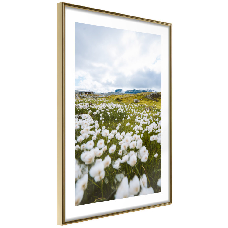 Wall Poster Meadow in the North - landscape of a meadow with white flowers against a mountain backdrop 138776 additionalImage 8