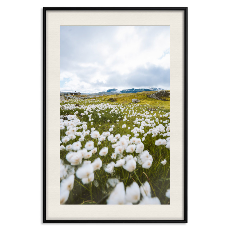 Wall Poster Meadow in the North - landscape of a meadow with white flowers against a mountain backdrop 138776 additionalImage 27