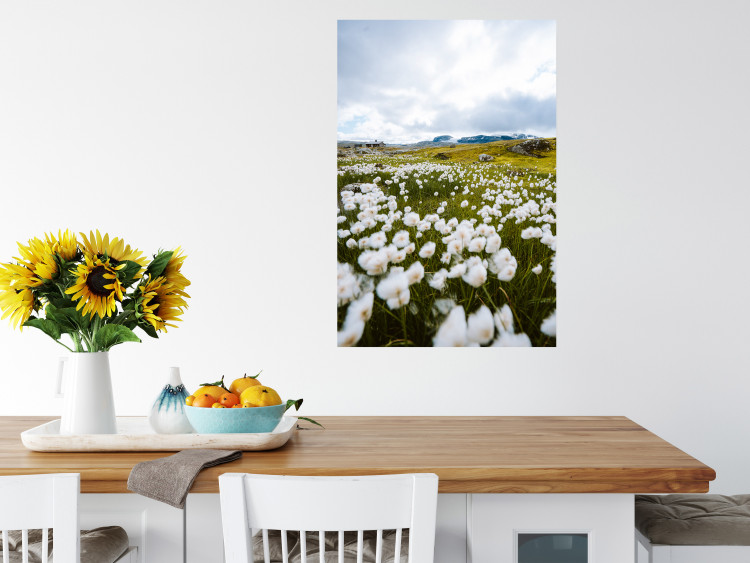 Wall Poster Meadow in the North - landscape of a meadow with white flowers against a mountain backdrop 138776 additionalImage 9
