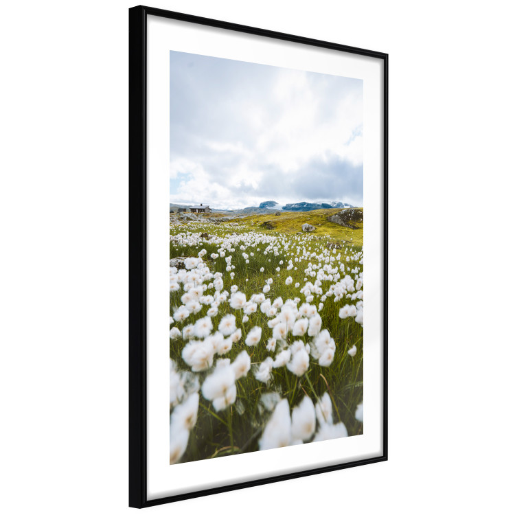 Wall Poster Meadow in the North - landscape of a meadow with white flowers against a mountain backdrop 138776 additionalImage 7
