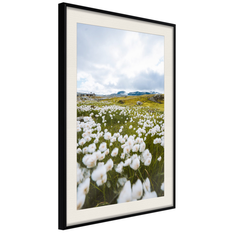 Wall Poster Meadow in the North - landscape of a meadow with white flowers against a mountain backdrop 138776 additionalImage 14