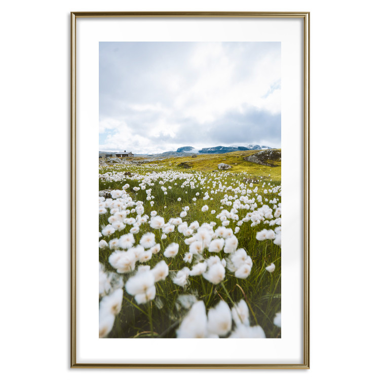 Wall Poster Meadow in the North - landscape of a meadow with white flowers against a mountain backdrop 138776 additionalImage 19
