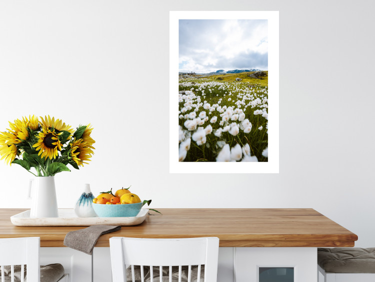 Wall Poster Meadow in the North - landscape of a meadow with white flowers against a mountain backdrop 138776 additionalImage 14