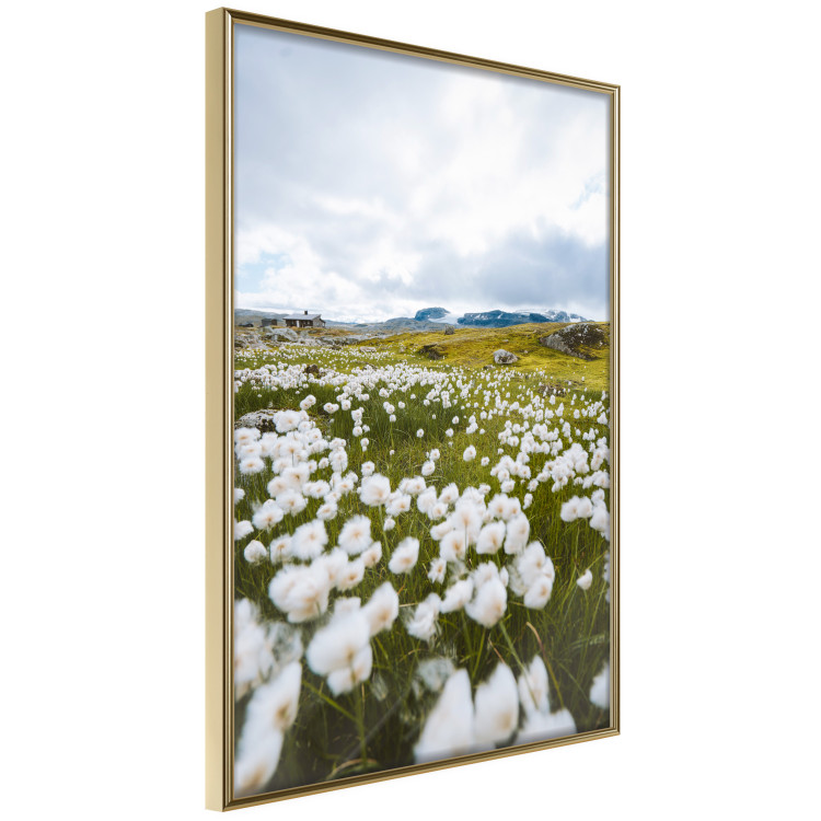 Wall Poster Meadow in the North - landscape of a meadow with white flowers against a mountain backdrop 138776 additionalImage 3