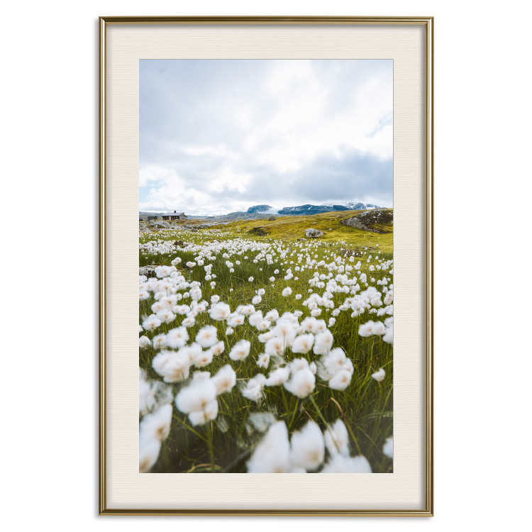 Wall Poster Meadow in the North - landscape of a meadow with white flowers against a mountain backdrop 138776 additionalImage 25