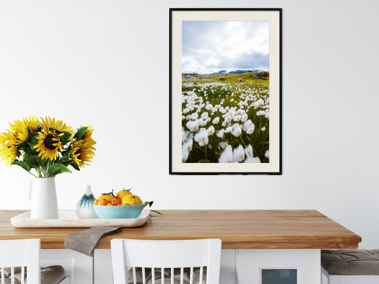 Wall Poster Meadow in the North - landscape of a meadow with white flowers against a mountain backdrop 138776 additionalImage 17