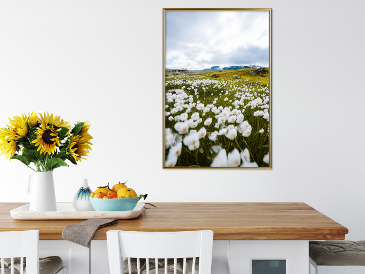 Wall Poster Meadow in the North - landscape of a meadow with white flowers against a mountain backdrop 138776 additionalImage 11