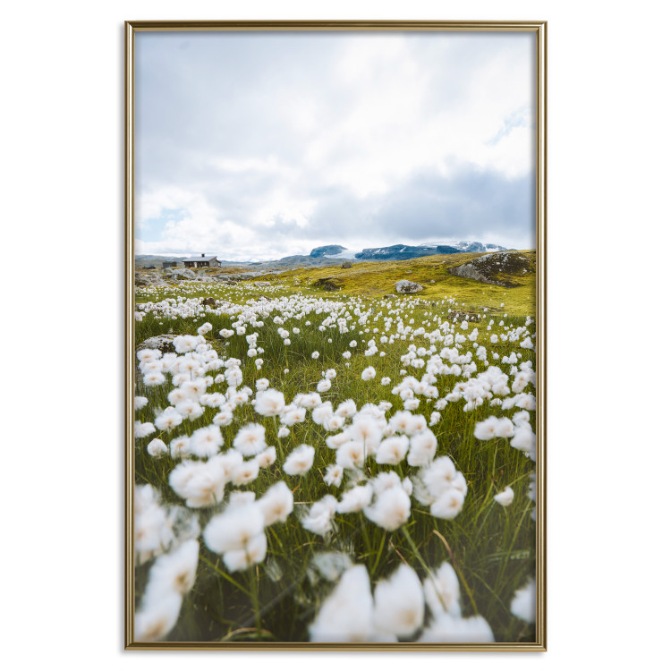 Wall Poster Meadow in the North - landscape of a meadow with white flowers against a mountain backdrop 138776 additionalImage 23