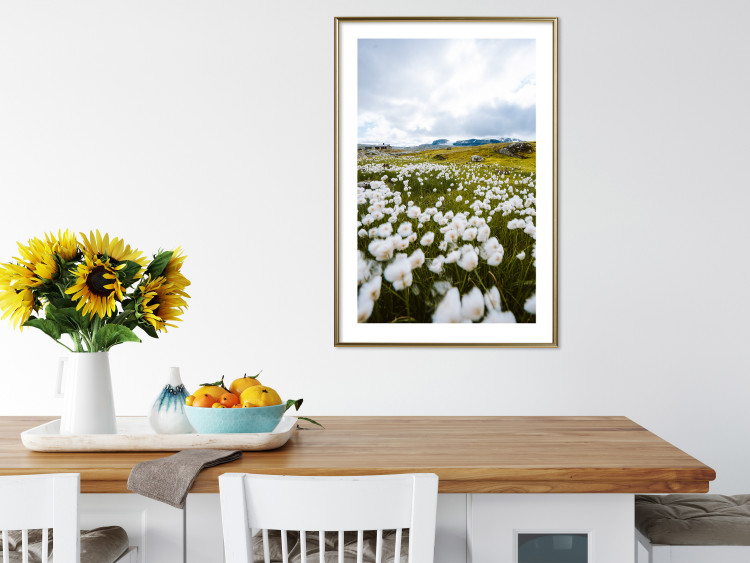 Wall Poster Meadow in the North - landscape of a meadow with white flowers against a mountain backdrop 138776 additionalImage 13