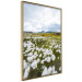 Wall Poster Meadow in the North - landscape of a meadow with white flowers against a mountain backdrop 138776 additionalThumb 3