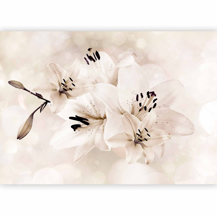 Wall Mural Magic lilies - glamour floral motif on light background with patterns 142376 additionalImage 1