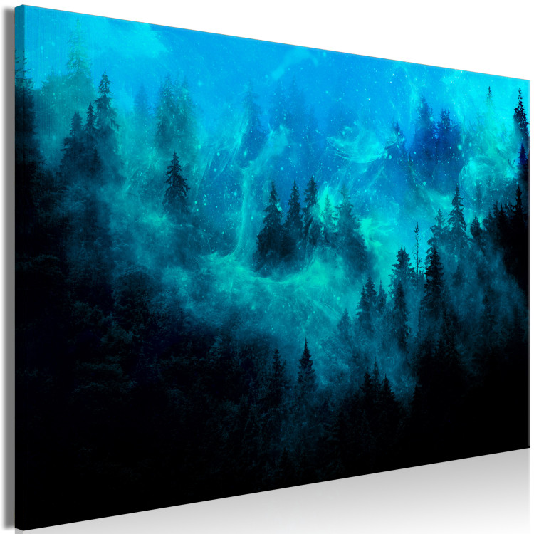 Canvas Magical Mist (1-piece) - second variant - forest landscape at night 142976 additionalImage 2