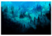 Canvas Magical Mist (1-piece) - second variant - forest landscape at night 142976