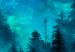 Canvas Magical Mist (1-piece) - second variant - forest landscape at night 142976 additionalThumb 5