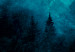 Canvas Magical Mist (1-piece) - second variant - forest landscape at night 142976 additionalThumb 4
