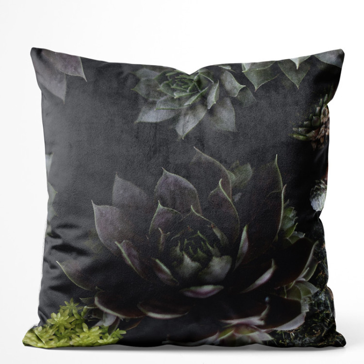 Decorative Velor Pillow Nocturnal rose - floral composition of succulents with rich detailing 147076