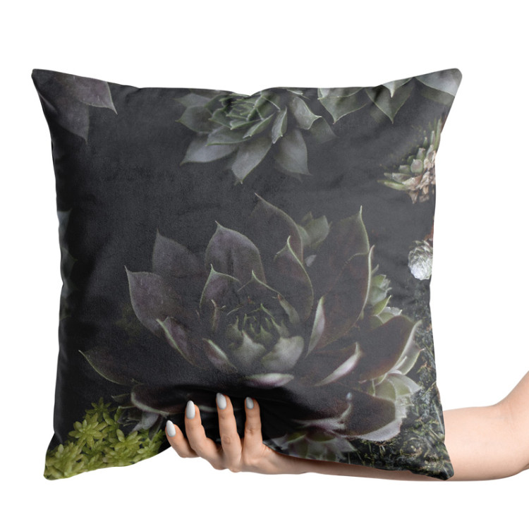 Decorative Velor Pillow Nocturnal rose - floral composition of succulents with rich detailing 147076 additionalImage 2