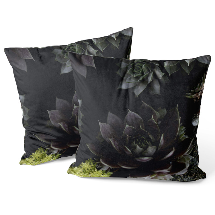 Decorative Velor Pillow Nocturnal rose - floral composition of succulents with rich detailing 147076 additionalImage 3