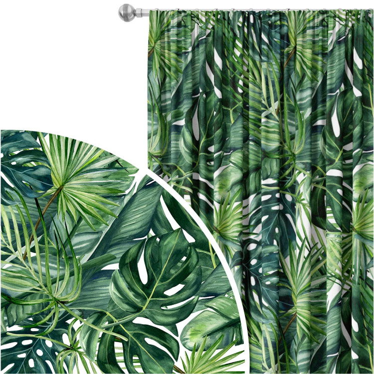Decorative Curtain Green corner - leaves of various shapes, shown on a white background 147276