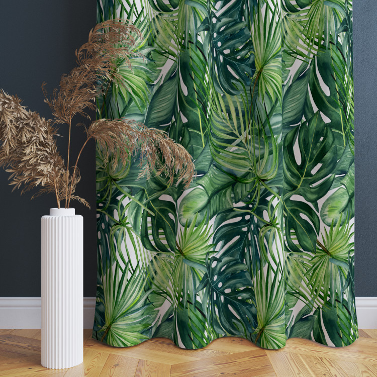 Decorative Curtain Green corner - leaves of various shapes, shown on a white background 147276 additionalImage 8