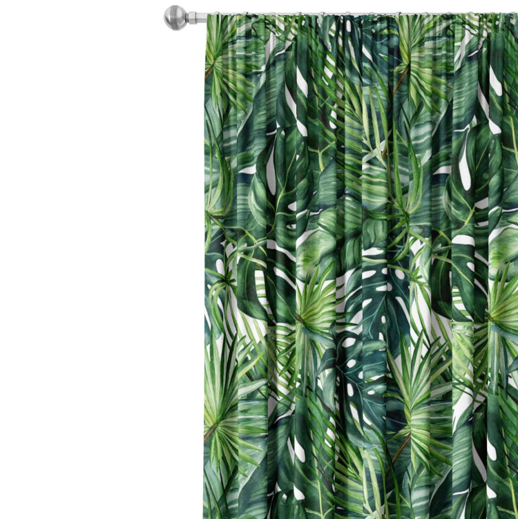 Decorative Curtain Green corner - leaves of various shapes, shown on a white background 147276 additionalImage 4