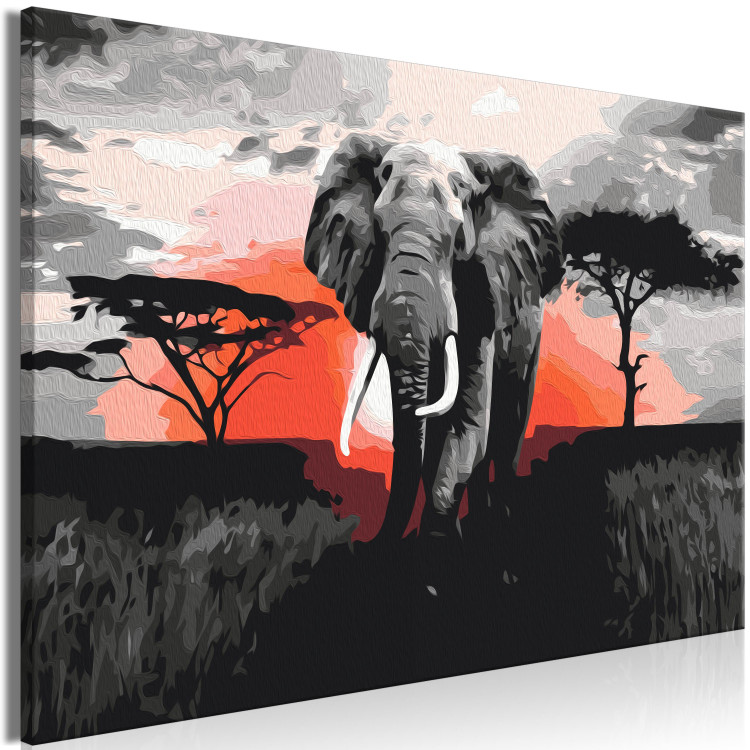 Paint by Number Kit Elephant on Savannah - African Landscape at Sunset 148876 additionalImage 6