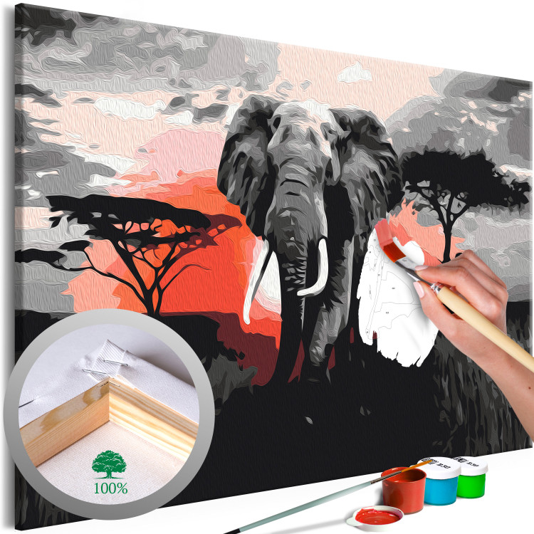 Paint by Number Kit Elephant on Savannah - African Landscape at Sunset 148876