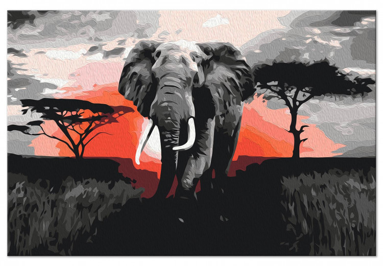 Paint by Number Kit Elephant on Savannah - African Landscape at Sunset 148876 additionalImage 4