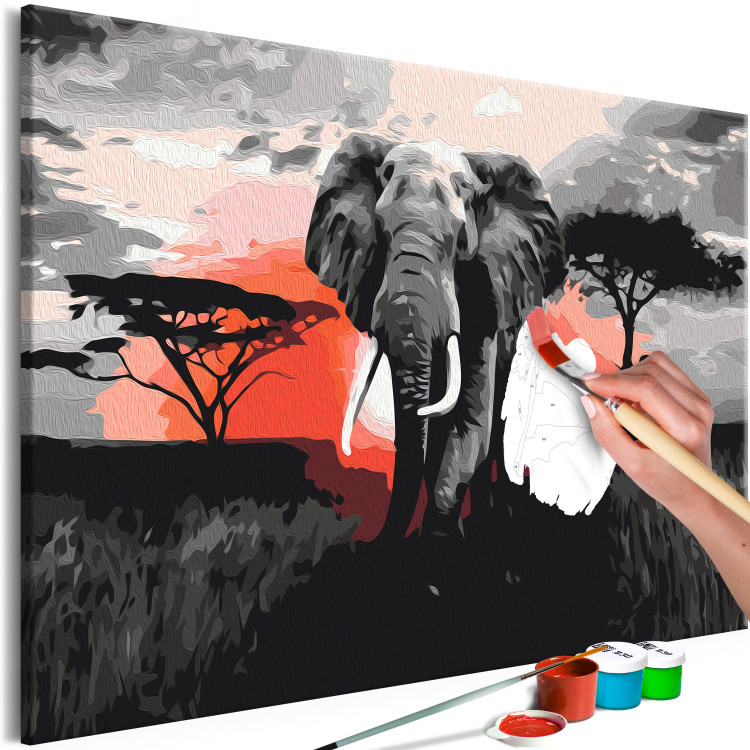 Paint by Number Kit Elephant on Savannah - African Landscape at Sunset 148876 additionalImage 5