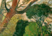 Poster The Big Tree (Te raau rahi) 151976 additionalThumb 4