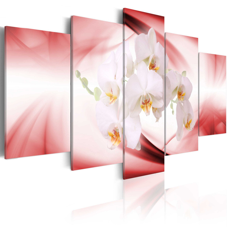 Canvas Art Print An orchid flower in pink and white 55676 additionalImage 2