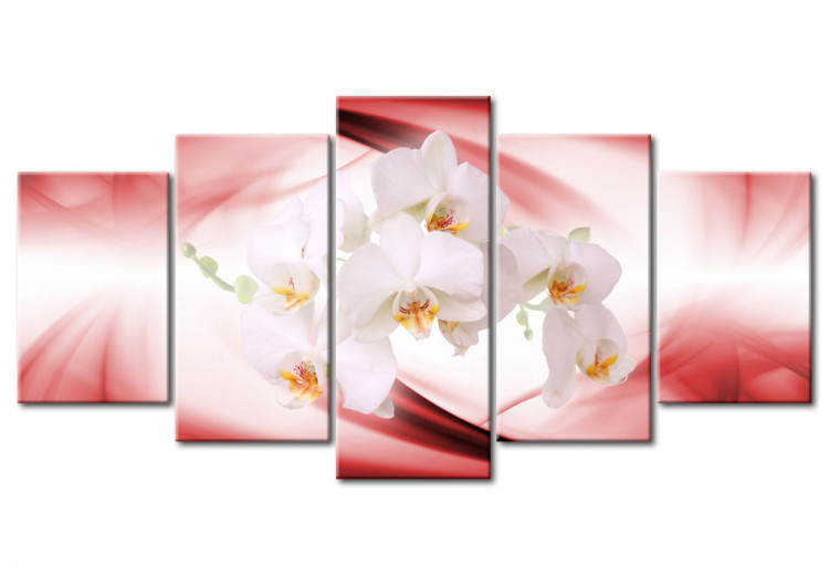 Canvas Art Print An orchid flower in pink and white 55676