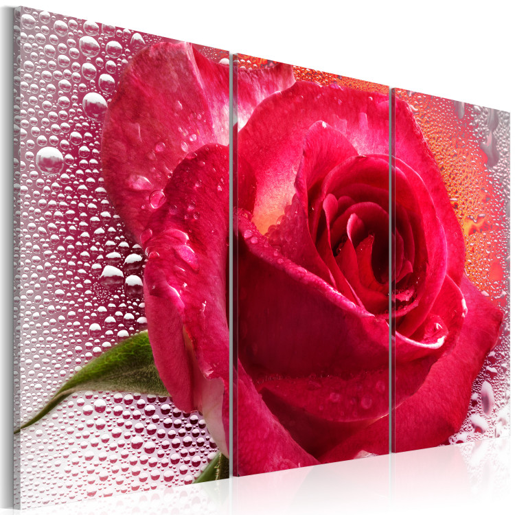 Canvas Print Lady Rose - triptych 56476 additionalImage 2