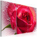 Canvas Print Lady Rose - triptych 56476 additionalThumb 2