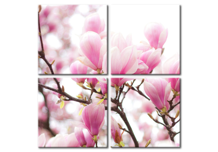 Canvas Blooming magnolia tree 58776