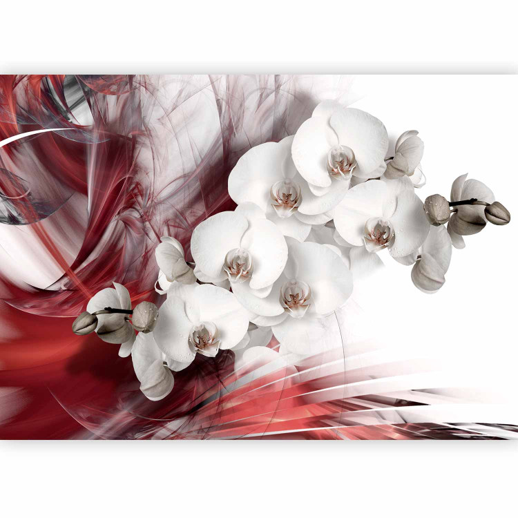 Photo Wallpaper Abstract with Flowers - Black and white orchid on a burgundy pattern background 61876 additionalImage 1
