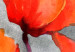 Canvas Poppies (Watercolour) 97976 additionalThumb 5